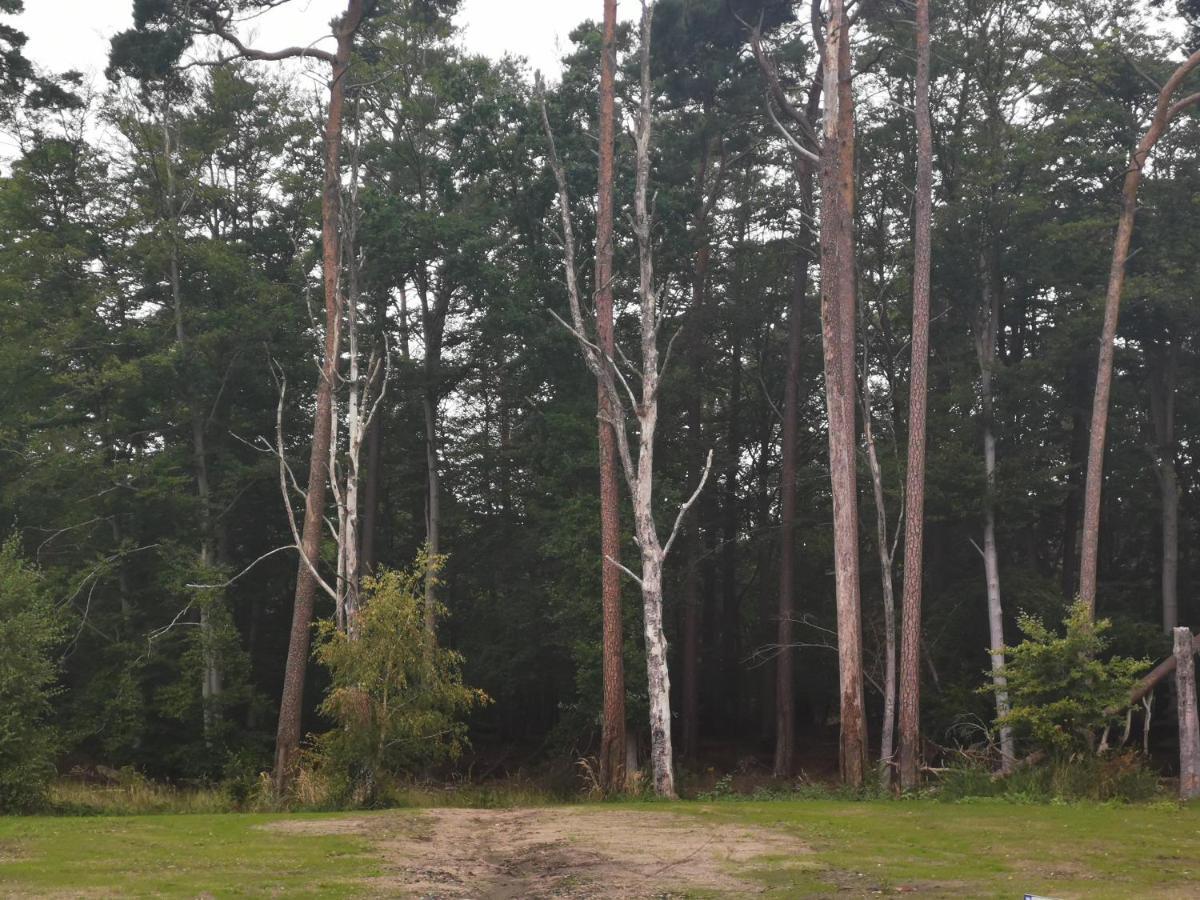 Ferienwohnung Og Graal-Mueritz Kuestenwald Exterior foto